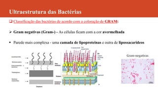 Ultraestrutura das Bactérias
 Classificação das bactérias de acordo com a coloração de GRAM:
 Gram negativas (Gram-) - As células ficam com a cor avermelhada
 Parede mais complexa - uma camada de lipoproteinas e outra de lipossacarideos
 