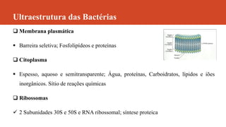 Ultraestrutura das Bactérias
 Membrana plasmática
 Barreira seletiva; Fosfolipídeos e proteínas
 Citoplasma
 Espesso, aquoso e semitransparente; Água, proteínas, Carboidratos, lípidos e iões
inorgânicos. Sítio de reações químicas
 Ribossomas
 2 Subunidades 30S e 50S e RNA ribossomal; síntese proteica
 