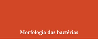 Morfologia das bactérias
 