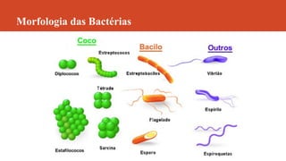 Morfologia das Bactérias
 