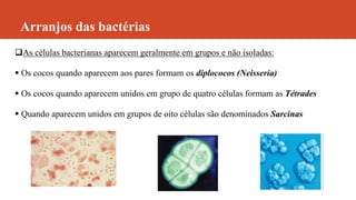 Arranjos das bactérias
As células bacterianas aparecem geralmente em grupos e não isoladas:
 Os cocos quando aparecem aos pares formam os diplococos (Neisseria)
 Os cocos quando aparecem unidos em grupo de quatro células formam as Tétrades
 Quando aparecem unidos em grupos de oito células são denominados Sarcinas
 