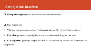 Arranjos das bactérias
 Os espirilos/espiroquetas apresentam apenas isoladamente.
 Mas podem ser:
 Vibrião: espirilos muito curtos, Em forma de vírgula (do gênero Vibrio cholerae)
 Espirilos: possuem corpo rígido e se movem as custas de flagelos externos
 Espiroquetas: possuem corpo flexível e se movem as custas de contrações do
citoplasma
 