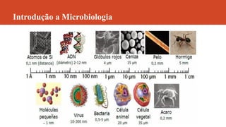Introdução a Microbiologia
 