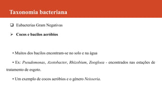 Taxonomia bacteriana
 Eubacterias Gram Negativas
 Cocos e bacilos aeróbios
• Muitos dos bacilos encontram-se no solo e na água
• Ex: Pseudomonas, Azotobacter, Rhizobium, Zoogloea - encontrados nas estações de
tratamento de esgoto.
• Um exemplo de cocos aeróbios e o género Neisseria.
 