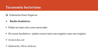 Taxonomia bacteriana
 Eubacterias Gram Negativas
 Bacilos facultativos
 Podem ser tanto retos como encurvados
 Por serem facultativos - podem crescer tanto com oxigénio como sem oxigénio
 Escherichia coli
 Salmonella, Vibrio cholerae.
 