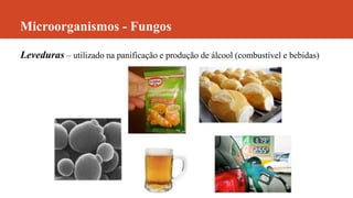 Microorganismos - Fungos
Leveduras – utilizado na panificação e produção de álcool (combustível e bebidas)
 