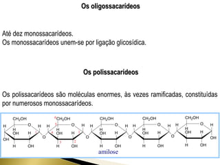 OOss oolliiggoossssaaccaarrííddeeooss 
Até dez monossacarídeos. 
Os monossacarídeos unem-se por ligação glicosídica. 
OOss ppoolliissssaaccaarrííddeeooss 
Os polissacarídeos são moléculas enormes, às vezes ramificadas, constituídas 
por numerosos monossacarídeos. 
CH2OH 
H 
H O 
OH 
H 
OH 
H OH 
CH2OH 
H 
H H H O 
O H 
H 
CH2OH 
H 
OH 
H OH 
O 
O 
H 
OH 
H OH 
CH2OH 
H 
CH2OH 
H 
H H O 
H O H 
H 
OH 
H OH 
OH 
O 
H 
OH 
H OH 
O 
H 
1 
6 
5 
4 
3 
1 
2 
amilose 
 
