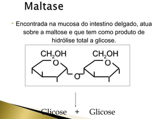  Encontrada na mucosa do intestino delgado, atua 
sobre a maltose e que tem como produto de 
hidrólise total a glicose. 
OO 
CCHH22OOHH 
+ H2O 
CCHH22OOHH 
OO 
OO 
Glicose + Glicose 
 