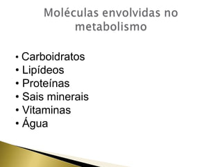 • Carboidratos 
• Lipídeos 
• Proteínas 
• Sais minerais 
• Vitaminas 
• Água 
 