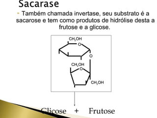  Também chamada invertase, seu substrato é a 
sacarose e tem como produtos de hidrólise desta a 
frutose e a glicose. 
CCHH22OOHH 
OO 
OO 
CCHH22OOHH 
OO 
CCHH22OOHH 
+ H2O 
Glicose + Frutose 
 