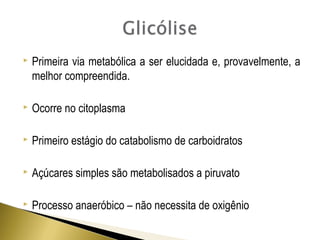  Primeira via metabólica a ser elucidada e, provavelmente, a 
melhor compreendida. 
 Ocorre no citoplasma 
 Primeiro estágio do catabolismo de carboidratos 
 Açúcares simples são metabolisados a piruvato 
 Processo anaeróbico – não necessita de oxigênio 
 