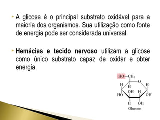  A glicose é o principal substrato oxidável para a 
maioria dos organismos. Sua utilização como fonte 
de energia pode ser considerada universal. 
 Hemácias e tecido nervoso utilizam a glicose 
como único substrato capaz de oxidar e obter 
energia. 
 