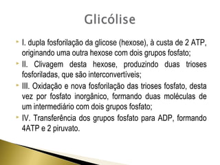  I. dupla fosforilação da glicose (hexose), à custa de 2 ATP, 
originando uma outra hexose com dois grupos fosfato; 
 II. Clivagem desta hexose, produzindo duas trioses 
fosforiladas, que são interconvertíveis; 
 III. Oxidação e nova fosforilação das trioses fosfato, desta 
vez por fosfato inorgânico, formando duas moléculas de 
um intermediário com dois grupos fosfato; 
 IV. Transferência dos grupos fosfato para ADP, formando 
4ATP e 2 piruvato. 
 