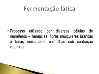  Processo utilizado por diversas células de 
mamíferos – hemácias, fibras musculares brancas 
e fibras musculares vermelhas sob contração 
vigorosa. 
 