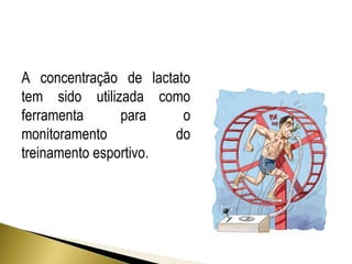 A concentração de lactato 
tem sido utilizada como 
ferramenta para o 
monitoramento do 
treinamento esportivo. 
 