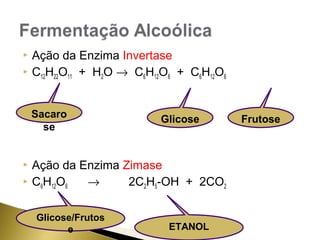  Ação da Enzima Invertase 
 C12H22O11 + H2O ® C6H12O6 + C6H12O6 
Sacaro 
se 
Glicose Frutose 
 Ação da Enzima Zimase 
 C6H12O6 ® 2C2H5-OH + 2CO2 
Glicose/Frutos 
e ETANOL 
 