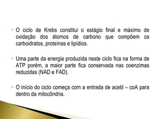  O ciclo de Krebs constitui o estágio final e máximo de 
oxidação dos átomos de carbono que compõem os 
carboidratos, proteínas e lipídios. 
 Uma parte da energia produzida neste ciclo fica na forma de 
ATP porém, a maior parte fica conservada nas coenzimas 
reduzidas (NAD e FAD). 
 O início do ciclo começa com a entrada de acetil – coA para 
dentro da mitocôndria. 
 