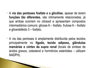  A via das pentoses fosfato e a glicólise, apesar de terem 
funções tão diferentes, são intimamente relacionadas, já 
que ambas ocorrem no citossol e apresentam compostos 
intermediários comuns: glicose 6 – fosfato, frutose 6 – fosfato 
e gliceraldéido 3 – fosfato. 
 A via das pentoses é amplamente distribuída pelos tecidos 
principalmente no fígado, tecido adiposo, glândulas 
mamárias e córtex da supra renal (locais de síntese de 
ácidos graxos, colesterol e hormônios esteróides – utilizam 
NADPH). 
 