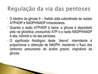  O destino da glicose 6 – fosfato está subordinado às razões 
ATP/ADP e NADPH/NADP intracelulares. 
 Quando a razão ATP/ADP é baixa, a glicose é degradada 
pela via glicolítica, produzindo ATP e a razão NADPH/NADP 
é alta, inibindo a via das pentoses. 
 O significado fisiológico deste “desvio” intermitente é 
proporcionar a obtenção de NADPH, mantendo o fluxo dos 
carbonos precursores de ácidos graxos, originários da 
glicose. 
