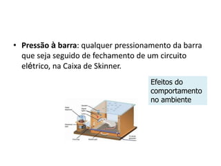 • Pressão à barra: qualquer pressionamento da barra
que seja seguido de fechamento de um circuito
elétrico, na Caixa de Skinner.
Efeitos do
comportamento
no ambiente
 