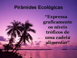 Pirâmides Ecológicas
            “Expressa
           graficamente
             os níveis
            tróficos de
            uma cadeia
            alimentar”
 