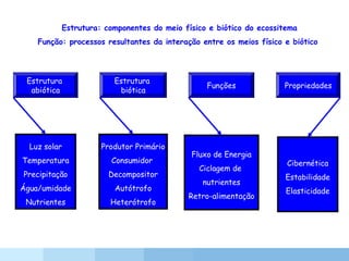 Estrutura: componentes do meio físico e biótico do ecossitema
Função: processos resultantes da interação entre os meios físico e biótico
Estrutura
abiótica
Estrutura
biótica
Funções Propriedades
Luz solar
Temperatura
Precipitação
Água/umidade
Nutrientes
Produtor Primário
Consumidor
Decompositor
Autótrofo
Heterótrofo
Fluxo de Energia
Ciclagem de
nutrientes
Retro-alimentação
Cibernética
Estabilidade
Elasticidade
 