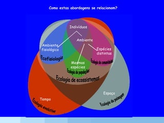 Como estas abordagens se relacionam?
Indivíduos
Ambiente
Espécies
distintas
Mesmas
espécies
Ambiente
fisiológico
Tempo
Espaço
 