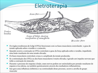 Eletroterapia
 Os órgãos tendinosos de Golgi (OTGs) funcionam com os fusos musculares controlando o grau de
tensão aplicada sobre o tendão e o músculo;
 Quando ocorre a contração os OTGs controlam o grau da força aplicada sobre o tendão, impedindo
uma lesão resultante de uma tensão elevada;
 Os fusos musculares controlam a taxa e a amplitude da tensão produzida;
 Se a estimulação dos OTGs ou dos fusos musculares é muito elevada, é gerado um impulso nervoso que
inibe a contração do músculo;
 Durante o processo de resposta à lesão, esses nervos podem ser estimulados por pressão resultante de
espamo e/ou edema, ou também quimicamente através dos mediadores inflamatórios;
 Isso gera uma influência inibitória e na continuidade desse processo, ocorre a atrofia do grupo
muscular
 