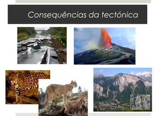 Consequências da tectónica
 