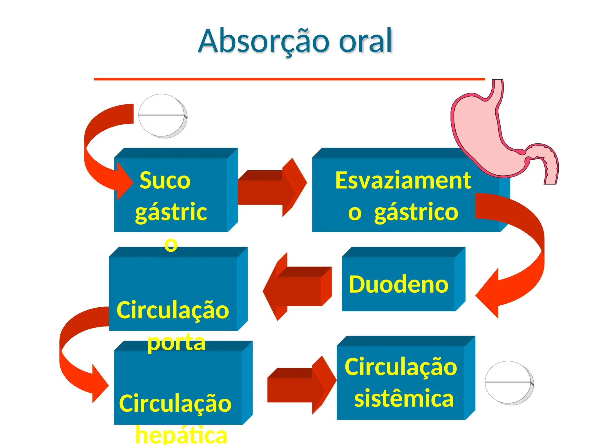 Farmacocinética: Fases de absorção, distribuição, metabolismo e ...