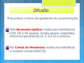 Difusão
 Acontece a favor do gradiente de concentração
 Pela Bicamada Lipídica: moléculas hidrofóbicas
– CO2, O2 e N2 (gases), ácidos graxos, esteróides,
vitaminas lipossolúveis (A, E, D e K) e amônia.
 Por Canais de Membrana: moléculas hidrofílicas
– a maioria canais IÔNICOS.
1
2
 