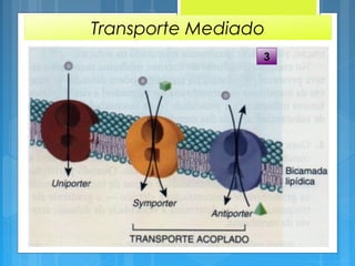 Transporte Mediado
3
 