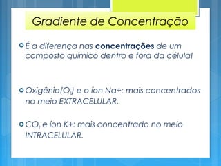 Gradiente de Concentração
 É a diferença nas concentrações de um
composto químico dentro e fora da célula!
 Oxigênio(O2) e o íon Na+: mais concentrados
no meio EXTRACELULAR.
 CO2 e íon K+: mais concentrado no meio
INTRACELULAR.
 