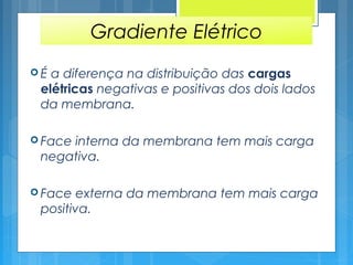 Gradiente Elétrico
 É a diferença na distribuição das cargas
elétricas negativas e positivas dos dois lados
da membrana.
 Face interna da membrana tem mais carga
negativa.
 Face externa da membrana tem mais carga
positiva.
 