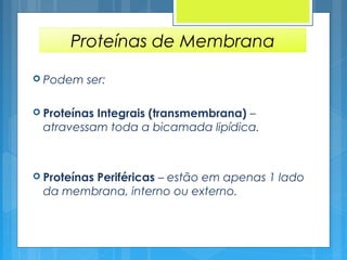 Proteínas de Membrana
 Podem ser:
 Proteínas Integrais (transmembrana) –
atravessam toda a bicamada lipídica.
 Proteínas Periféricas – estão em apenas 1 lado
da membrana, interno ou externo.
 