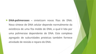  DNA-polimerases – sintetizam novas fitas de DNA.
Nova síntese de DNA celular depende normalmente da
existência de uma fita molde de DNA, a qual é lida por
uma polimerase dependente de DNA. Este complexo
agregado de subunidades proteicas também fornece
atividade de revisão e reparo do DNA.
 