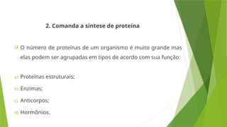 2. Comanda a síntese de proteína
 O número de proteínas de um organismo é muito grande mas
elas podem ser agrupadas em tipos de acordo com sua função:
a) Proteínas estruturais;
b) Enzimas;
c) Anticorpos;
d) Hormônios.
 
