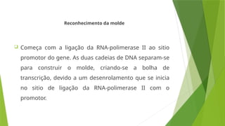 Reconhecimento da molde
 Começa com a ligação da RNA-polimerase II ao sitio
promotor do gene. As duas cadeias de DNA separam-se
para construir o molde, criando-se a bolha de
transcrição, devido a um desenrolamento que se inicia
no sitio de ligação da RNA-polimerase II com o
promotor.
 