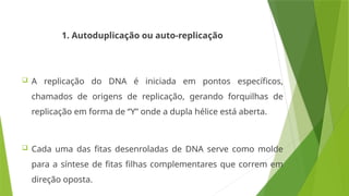 1. Autoduplicação ou auto-replicação
 A replicação do DNA é iniciada em pontos específicos,
chamados de origens de replicação, gerando forquilhas de
replicação em forma de “Y” onde a dupla hélice está aberta.
 Cada uma das fitas desenroladas de DNA serve como molde
para a síntese de fitas filhas complementares que correm em
direção oposta.
 