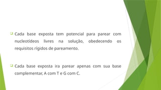  Cada base exposta tem potencial para parear com
nucleotídeos livres na solução, obedecendo os
requisitos rígidos de pareamento.
 Cada base exposta ira parear apenas com sua base
complementar, A com T e G com C.
 
