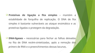  Proteínas de ligação a fita simples – mantém a
estabilidade de forquilha de replicação. O DNA de fita
simples é bastante vulneráveis ao ataque enzimático e as
proteínas ligadas o protegem da degradação.
 DNA-ligases – necessárias para fechar as falhas deixadas
na fita de DNA recém-sintetizadas, após a remoção dos
primers de RNA e o preenchimentos dessas lacunas.
 