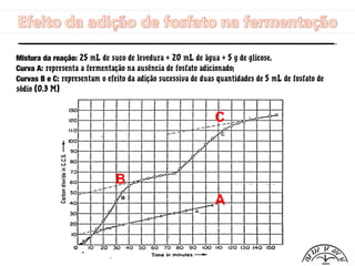 Mistura da reação: 25 mL de suco de levedura + 20 mL de água + 5 g de glicose.
Curva A: representa a fermentação na ausência de fosfato adicionado;
Curvas B e C: representam o efeito da adição sucessiva de duas quantidades de 5 mL de fosfato de
sódio (0.3 M)
C
A
B
 