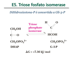 DiHidroxicetona-P é convertida a Gli-3-P
 