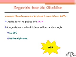 A energia liberada na quebra da glicose é convertida em 4 ATPs
O saldo de ATP na glicólise é de 2 ATP
A segunda fase envolve dois intermediários de alta energia
1,3 BPG
Fosfoenolpiruvato
 