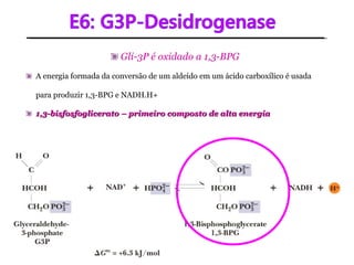 Gli-3P é oxidado a 1,3-BPG
A energia formada da conversão de um aldeído em um ácido carboxílico é usada
para produzir 1,3-BPG e NADH.H+
1,3-bisfosfoglicerato – primeiro composto de alta energia1,3-bisfosfoglicerato – primeiro composto de alta energia
 
