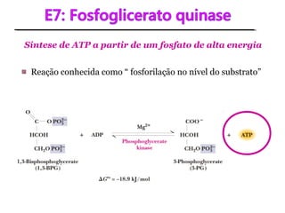 Síntese de ATP a partir de um fosfato de alta energia
Reação conhecida como “ fosforilação no nível do substrato”
 