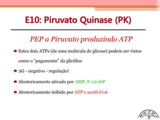 PEP a Piruvato produzindo ATP
Estes dois ATPs (de uma molécula de glicose) podem ser vistos
como o “pagamento” da glicólise
∆G - negativo - regulação!
Alostericamente ativado por AMP, F-1,6-biP
Alostericamente inibido por ATP e acetil-CoA
 
