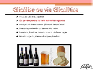 ou via de Embden-Meyerhoff
É a quebra parcial de uma molécula de glicose
Principal via metabólica dos processos fermentativos
Fermentação alcoólica ou fermentação láctica
Leveduras, bactérias, músculo e outras células do corpo
Primeira etapa do processo de respiração celular
 