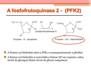 A frutose 2,6 bisfosfato ativa a PFK1 e consequentemente a glicólise
A frutose 2,6 bisfosfato é convertida a frutose 6P em resposta a altos
niveis de glucagon (baixo niveis de glicose sanguinea)
 