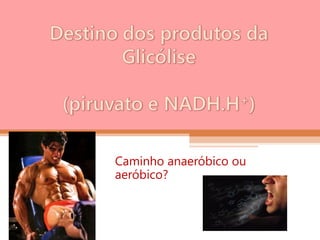 Caminho anaeróbico ou
aeróbico?
 